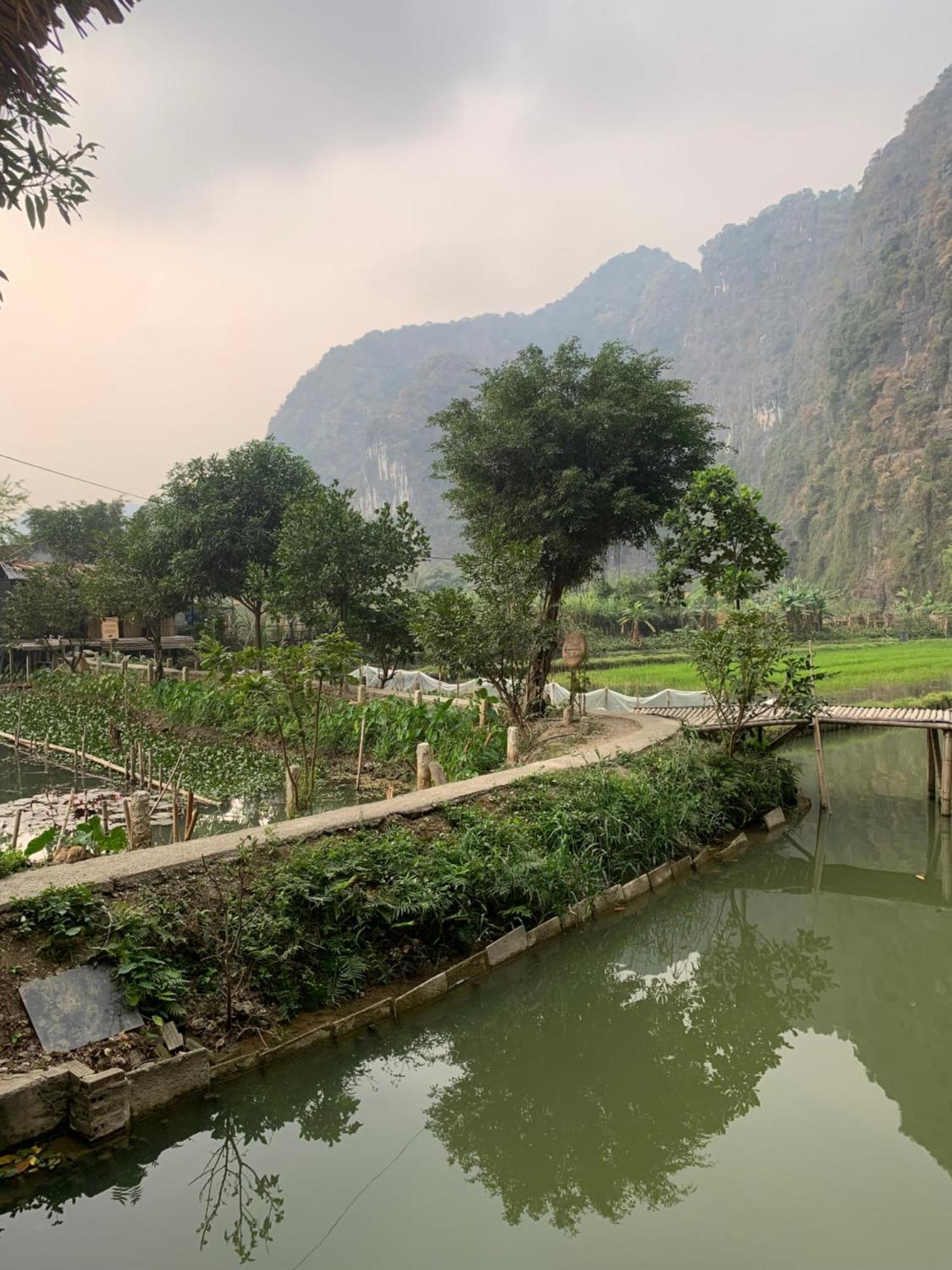 Tam Coc Lotus Flower Homestay Нин Бин Екстериор снимка